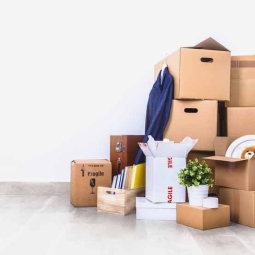 An Expedition in Decluttering – A New kind of Archeology