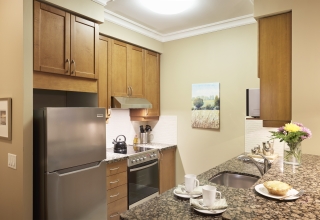 Delmanor West Village suite kitchen