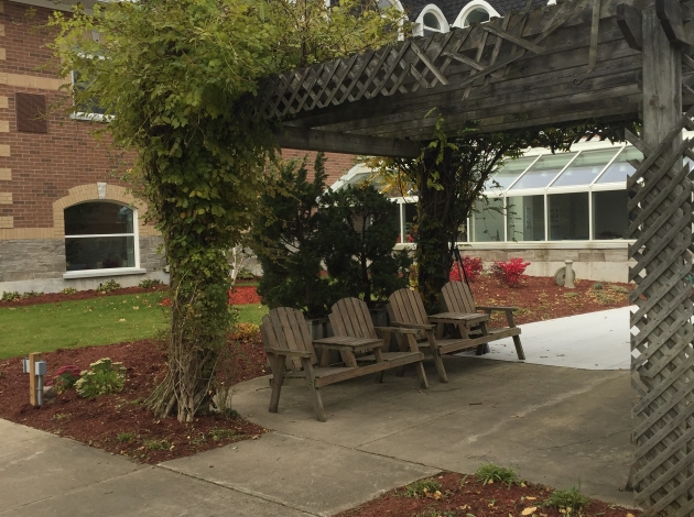 Highgate Residence Backyard