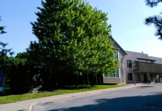 Dementia Care in North York Cedarhurst Dementia Care Home