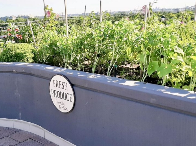 Delmanor Retirement Home Prince Edward Fresh Produce Etobicoke
