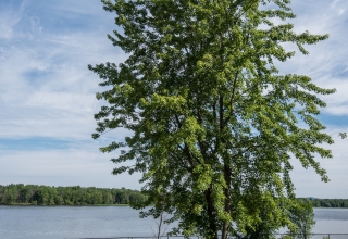 Bruyère Village Quebec Retirement Outdoors