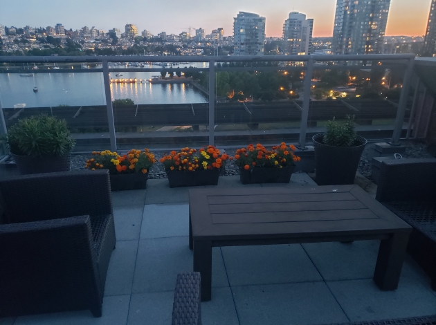 Sidney Manor roof night