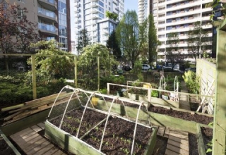 Twin Arms Garden