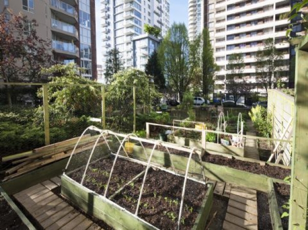 Twin Arms Garden